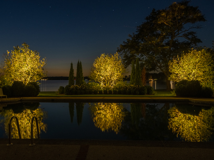 Harford Maryland Tree Landscape Lighting